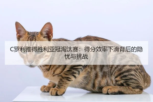 C罗利雅得胜利亚冠淘汰赛：得分效率下滑背后的隐忧与挑战