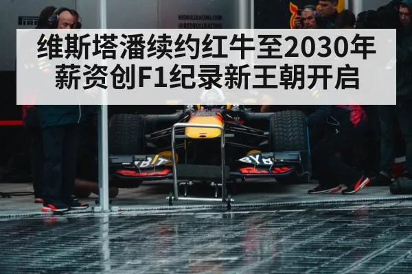 Red Bull racing team